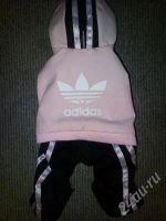Лот: 630305. Фото: 2. Спортивный костюм ADIDAS для собачки... Животные и уход