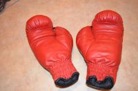 Лот: 4209924. Фото: 3. Перчатки боксерские Everlast 14. Спортивные товары