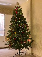 Лот: 19633977. Фото: 2. Елка королевская с шишками 2.1м. Новый год!