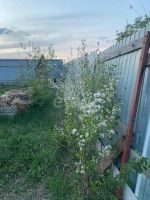 Лот: 25296944. Фото: 16. 4-комн. дом , ДНТ Заречье ДНТ...