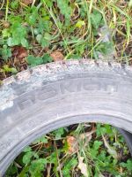 Лот: 18097065. Фото: 6. Шины Nokian 195/65 R15