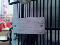 Лот: 4872825. Фото: 2. Холодильник. Крупная бытовая техника