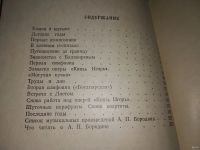 Лот: 13004848. Фото: 2. Бородин, Татьяна Попова, Изд... Литература, книги