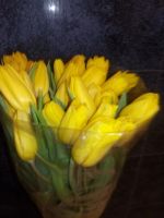 Лот: 11158594. Фото: 2. 31 тюльпан, желтые, отличного... Цветы, букеты