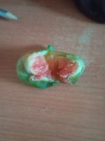 Лот: 25888464. Фото: 3. инжир с плодами. комнатный. самоплодный... Растения и животные