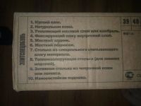 Лот: 3175838. Фото: 5. Берцы кожанные.44размер Элитспецобувь