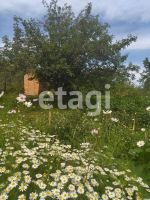 Лот: 25293033. Фото: 14. 1-комн. дача , СНТ Надежда СНТ...