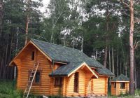 Лот: 16861464. Фото: 6. Ондувилла черепица (зелёный 3D...