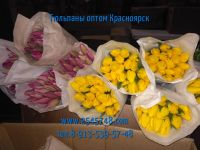 Лот: 1503331. Фото: 4. Шикарные тюльпаны EXTRA+ оптом... Красноярск