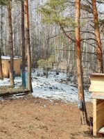 Лот: 25297875. Фото: 9. 1-комн. дом , Красноярск Красноярск...