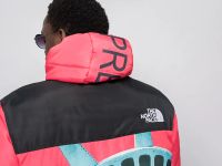 Лот: 20870932. Фото: 7. Куртка зимняя The North Face x...