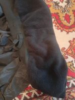 Лот: 25849556. Фото: 2. Штаны утеплённые новые. Спортивная одежда