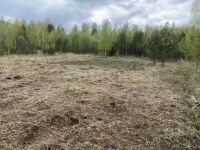 Лот: 25403482. Фото: 3. участок , деревня Свищево деревня... Недвижимость