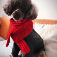 Лот: 10698367. Фото: 7. Весенний шарф одежда для собак...
