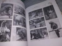 Лот: 19012157. Фото: 10. Ковалинский Виталий Васильевич...