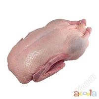 Лот: 2374126. Фото: 2. Гусь-Тушки. Продукты