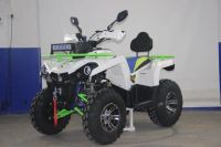 Лот: 25364880. Фото: 2. Квадроцикл AVANTIS Forester 200. Мототехника