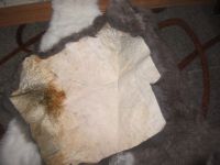 Лот: 20964054. Фото: 2. шкурки кроликов (выделанные). Охота