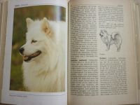 Лот: 4453343. Фото: 4. «Bi-Lexicon. Hunde rassen» (книга... Красноярск