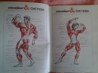 Лот: 3087806. Фото: 5. Joe Weider! бодибилдинг редкость