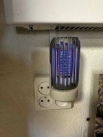 Лот: 25610340. Фото: 3. Лампа антимоскитная 4 Led ( В... Домашний быт