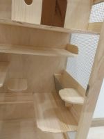 Лот: 19847840. Фото: 4. Витрина грызуны шиншиллы белки... Красноярск