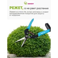 Лот: 24114547. Фото: 3. Секатор цветочный, 180 мм, Grandy... Для дачи, дома, огорода, бани, парка