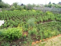 Лот: 11420493. Фото: 6. Продам участок 6 соток, СНТ "Химик...