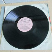 Лот: 22396351. Фото: 9. Пластинка LP / гигант ВИА Диэло...