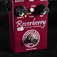 Лот: 10483037. Фото: 5. AMT Electronics RY-1 Reverberry...