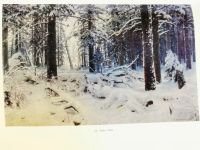 Лот: 20004032. Фото: 7. Альбом Шишкин 1971г. Савинов А...
