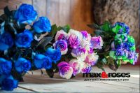 Лот: 8154330. Фото: 4. Радужные розы уникальных расцветок... Красноярск