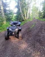 Лот: 25650265. Фото: 4. Квадроцикл GRIZZLY 250 Б/У. Красноярск