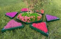 Лот: 7278549. Фото: 9. Теплицы и Парники. Грядки и Клумбы...