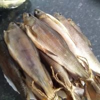 Лот: 18448149. Фото: 7. Дымогенератор для холодного и...