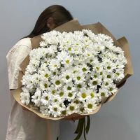 Лот: 20055459. Фото: 2. Букеты из ромашек с доставкой. Цветы, букеты