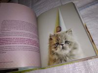 Лот: 12578480. Фото: 10. Почему собаки лучше кошек, Бредли...
