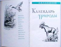 Лот: 19430336. Фото: 2. Л.П. Сабанеев "Календарь природы... Хобби, туризм, спорт