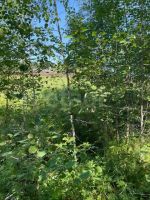 Лот: 25704387. Фото: 10. участок , посёлок городского типа...