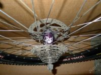 Лот: 2748273. Фото: 2. колесо duble track 24", втулка... Велоспорт