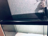 Лот: 15560236. Фото: 3. Аквариум 210л. Растения и животные