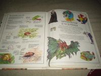 Лот: 1176397. Фото: 2. Энциклопедия рисования для детей. Творчество