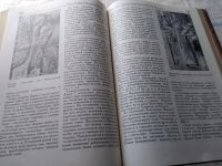 Лот: 11442129. Фото: 18. История Древнего Востока. Учебник...
