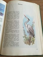 Лот: 6899016. Фото: 4. Клычев А. "Красота солнечного... Красноярск
