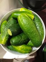 Лот: 20823822. Фото: 2. Огурцы свежие. 5 литров. Продукты