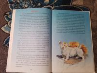 Лот: 24059006. Фото: 4. Марина Собе-Панек Азбука домашних... Красноярск