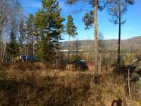 Лот: 12329550. Фото: 5. Участок СПК "Роев ручей-1"
