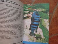 Лот: 10530256. Фото: 3. Аквариумные рыбки.2 книги. 1990... Литература, книги
