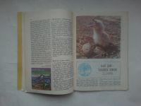 Лот: 24792705. Фото: 4. Журнал. Юный натуралист. 1980... Красноярск