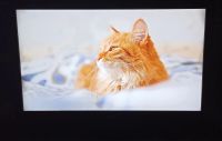 Лот: 20244448. Фото: 6. телевизор Philips 42